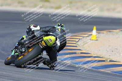 media/Apr-14-2024-SoCal Trackdays (Sun) [[70f97d3d4f]]/2-Turn 11 Backside (935am)/